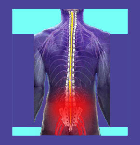 Lower back pain and sciatica