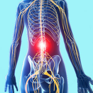 Lower Back Pain Symptoms