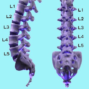 Lumbar Spinal Cord Injury