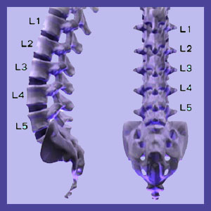 Lumbar Spinal Degeneration